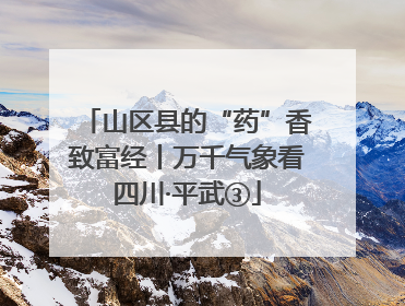 山区县的“药”香致富经丨万千气象看四川·平武③
